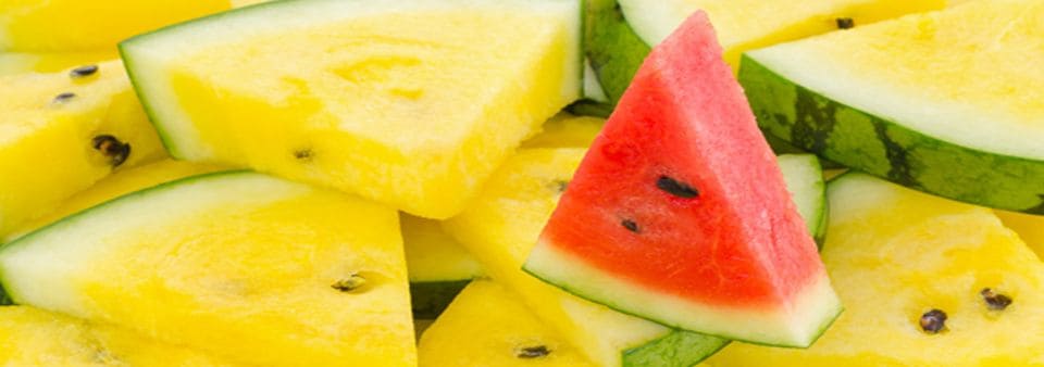 PL-HEADER-Food-Sector-watermellon-960x338