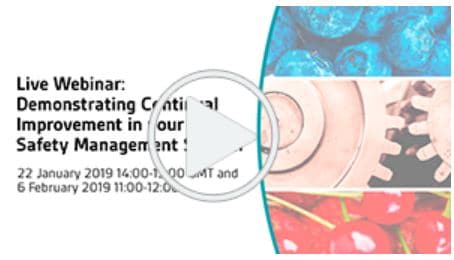 PL-BSI-WEBINAR-CONTINUAL-IMPROVMENT