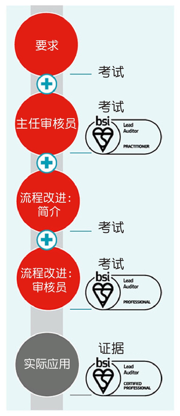 Lead auditor pathway