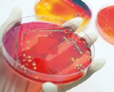 Microbiology Assessment Planning Guide