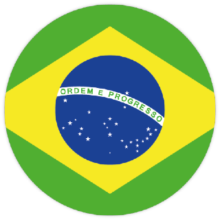 Brazilian Medical Device Regulations Brazilian Medical Device Regulations