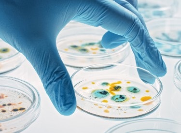 微生物学和无菌医疗器械