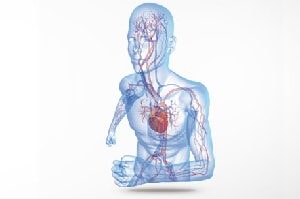 med dev transfer to bsi
            