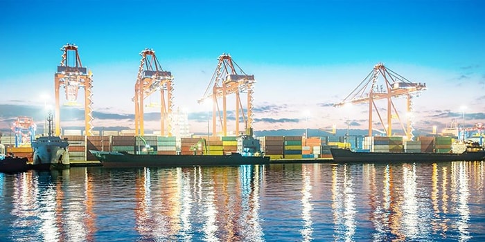Supply Chain Risk Port