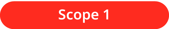 Scope 1 