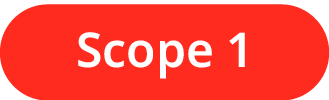 Scope 1