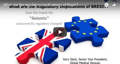 BSI Brexit webinar