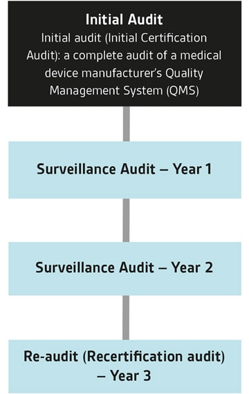 MSDAP Audit Process