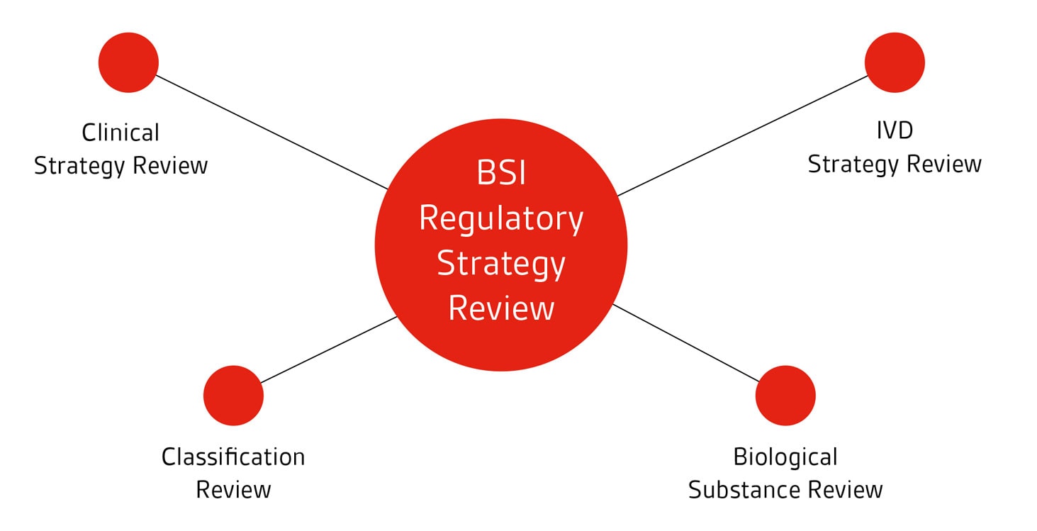 Regulatory-strategy-review Regulatory-strategy-review