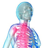 Orthopaedic and Dental Medical Devices BSI