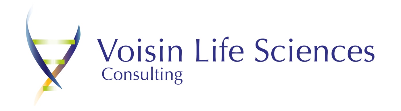 logo voisin consulting