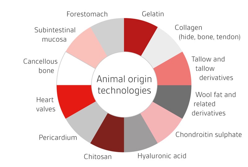 動物由来の技術を利用している医療機器BSI