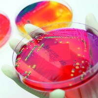 微生物检测医疗器械BSI 微生物检测医疗器械BSI