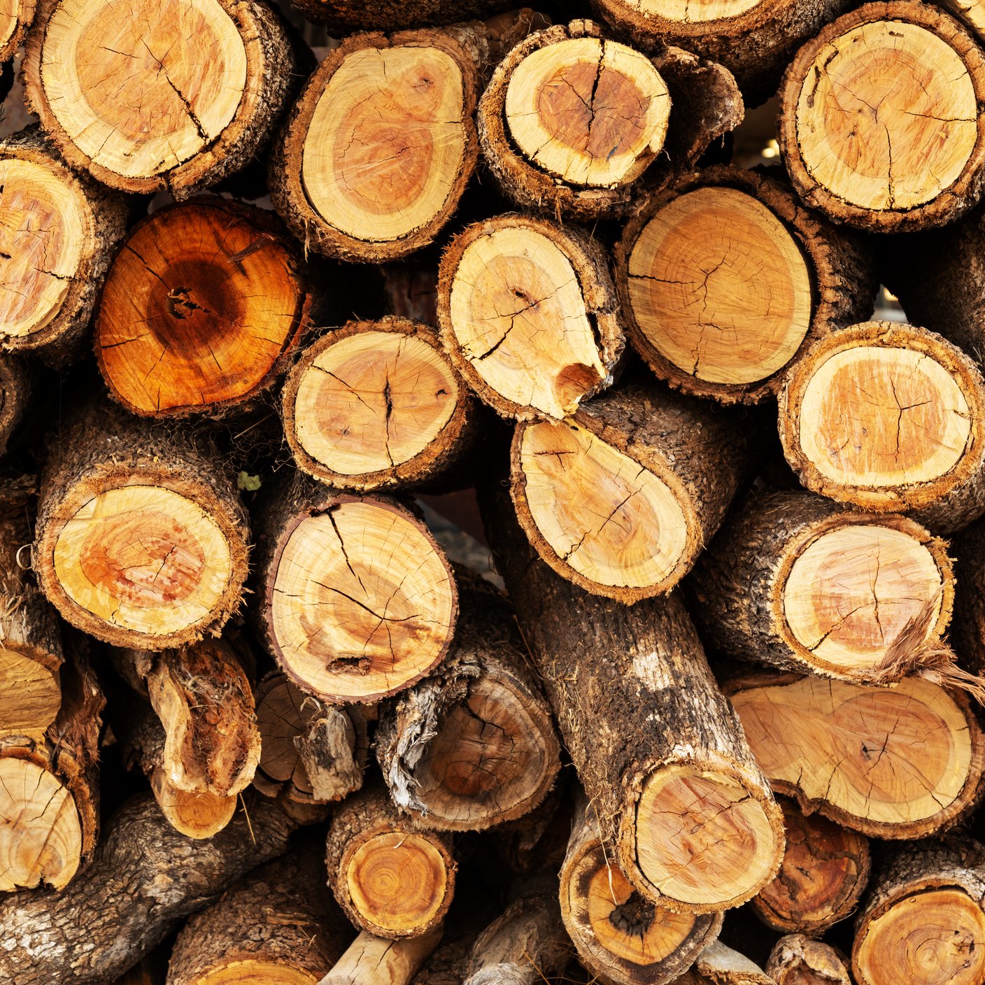 Log pile of chopped timber with circular wood grain, Australia