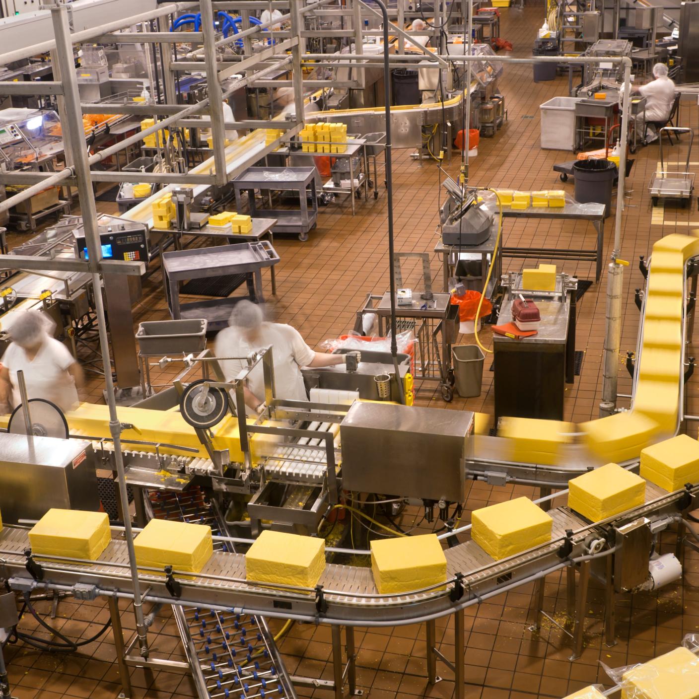 High angle look onto the factory floor of a cheese processing center. People and cheese show motion blur. Image is grainy due to low light requirement in the facility.
