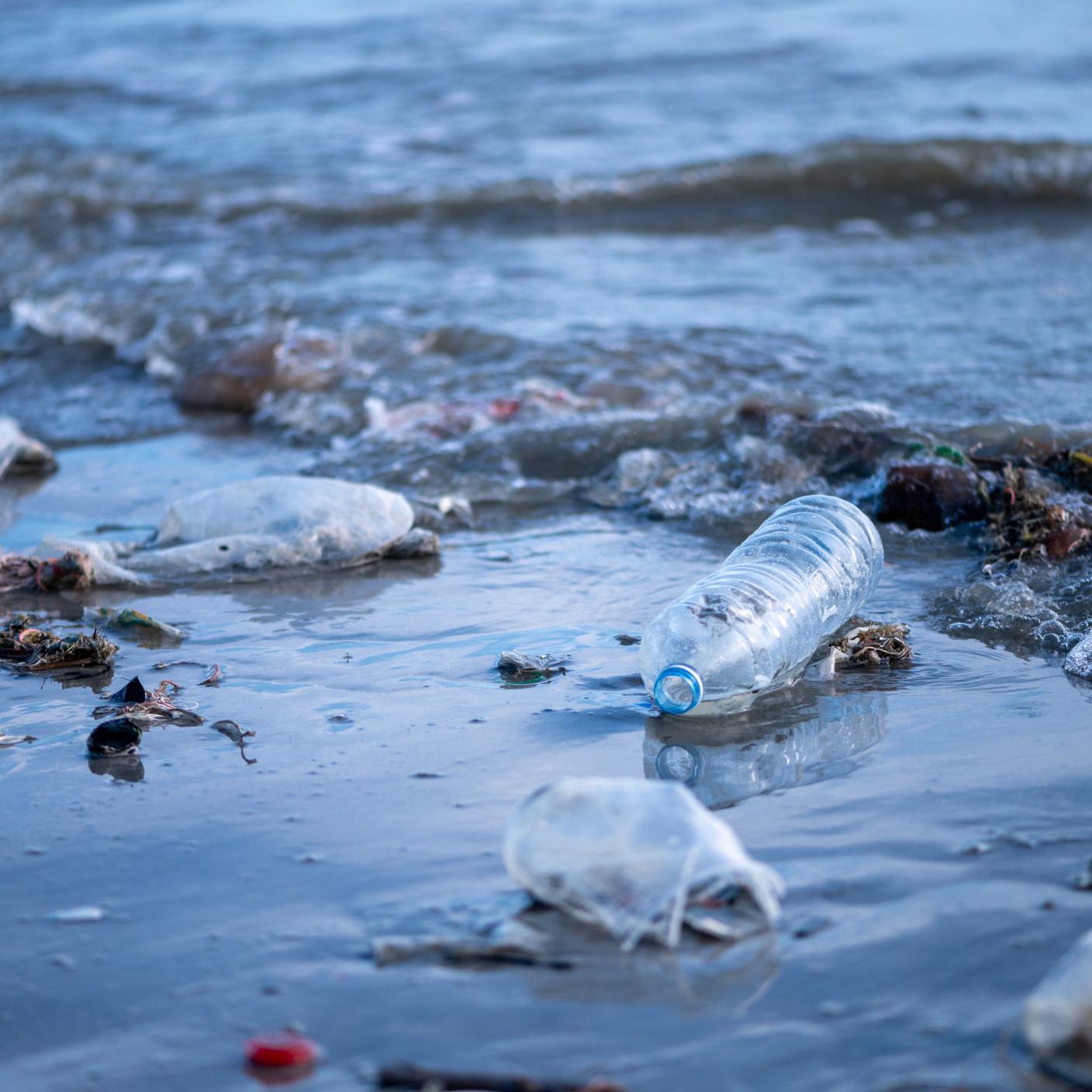 beach with plastics