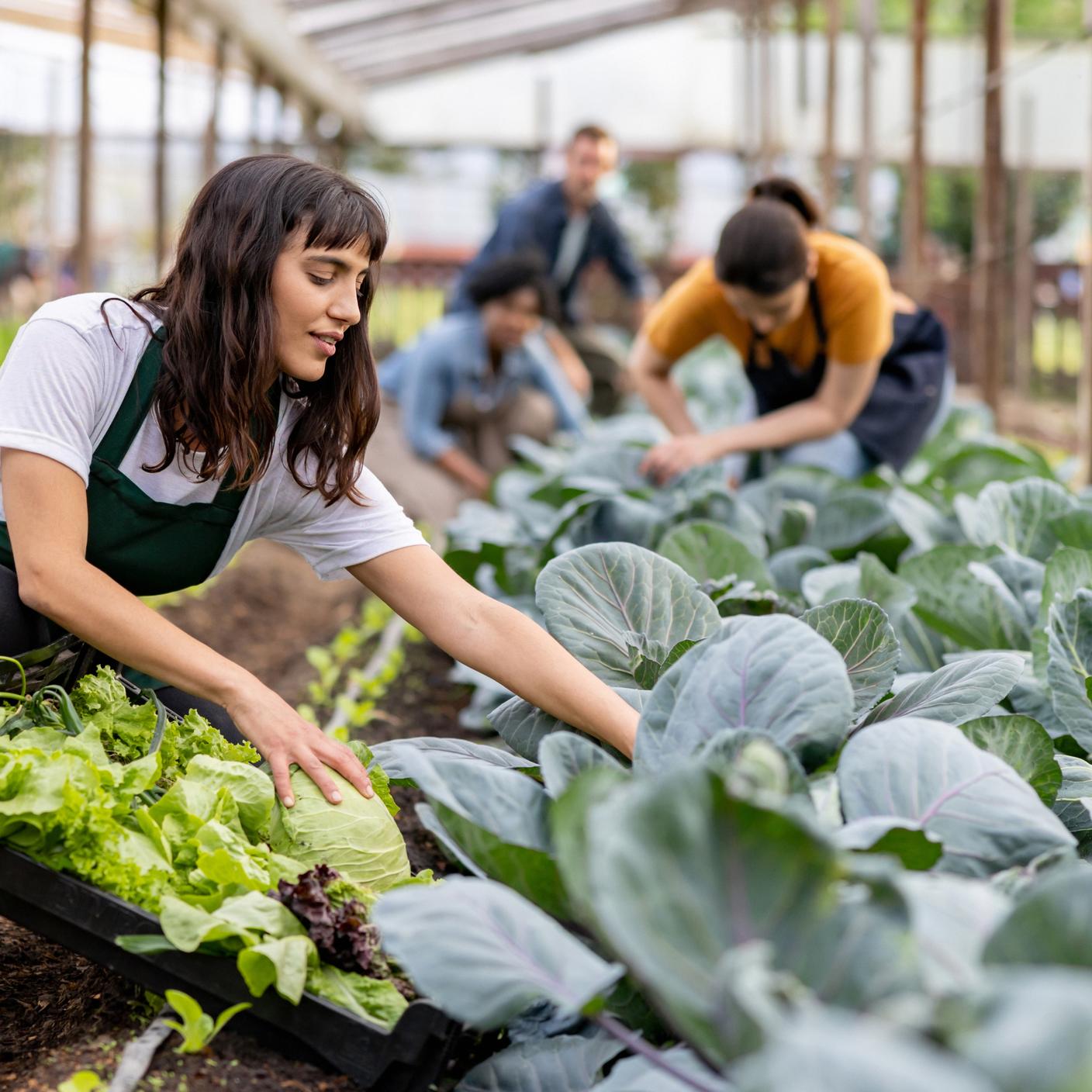 food and retail  woman working at an organic farm