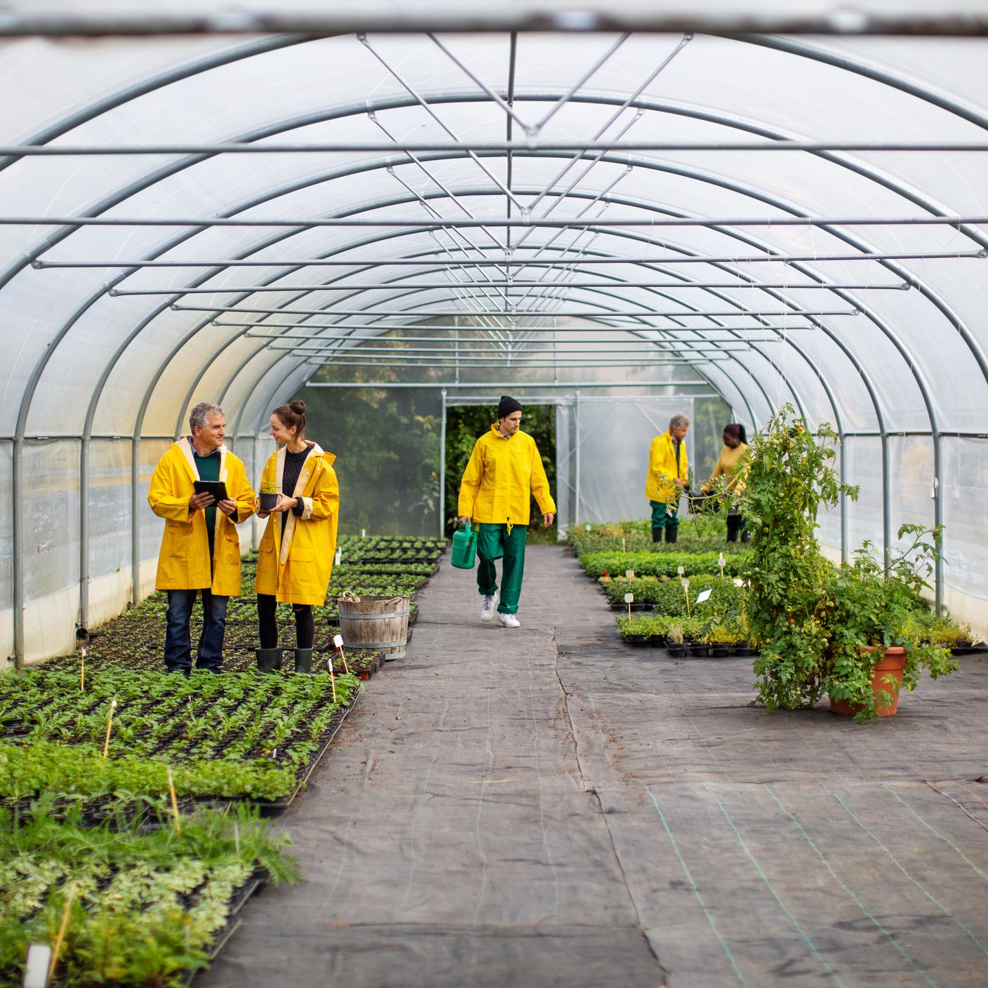 sustainability gardeners working in a garden center
