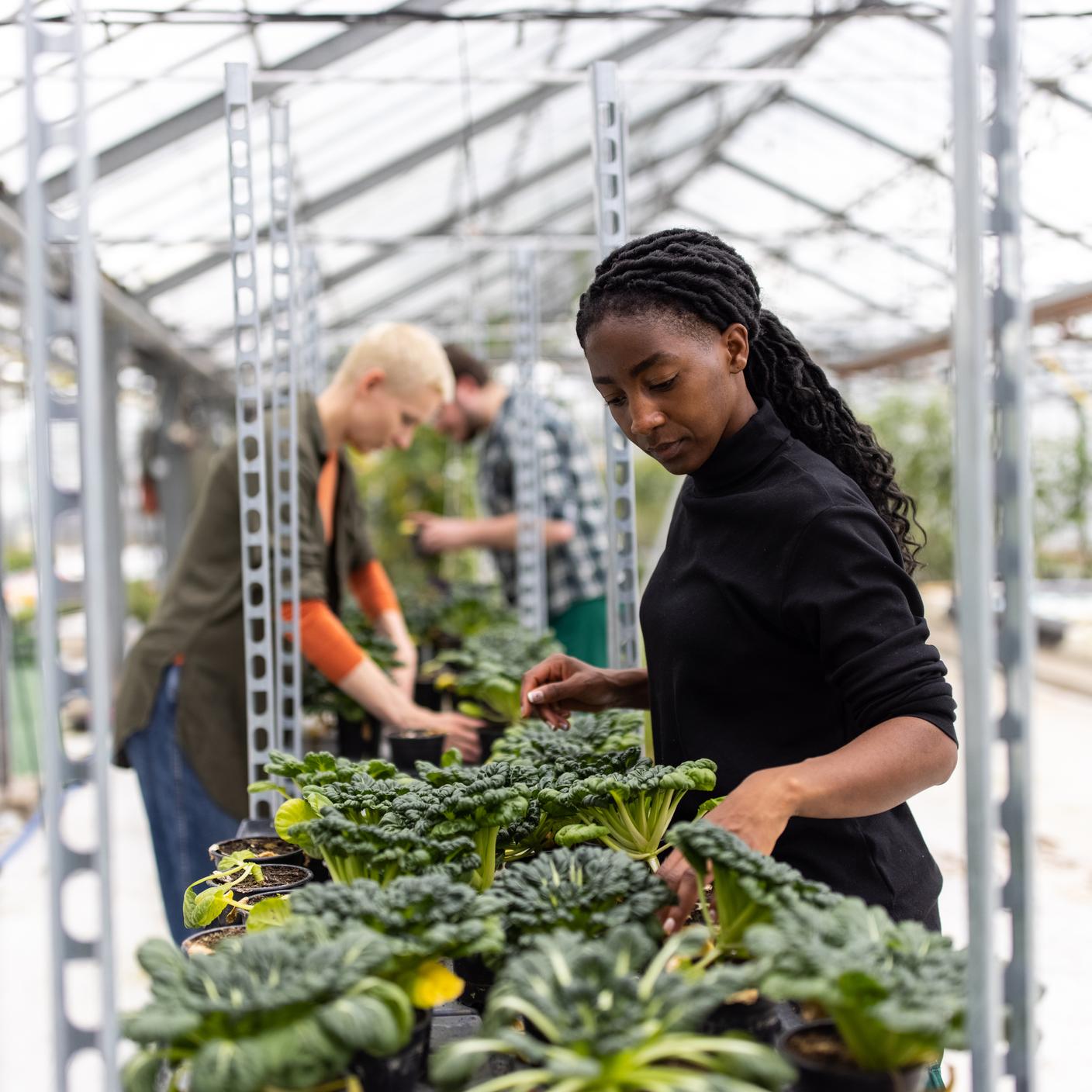 Ethical supply chain - work farmers at market