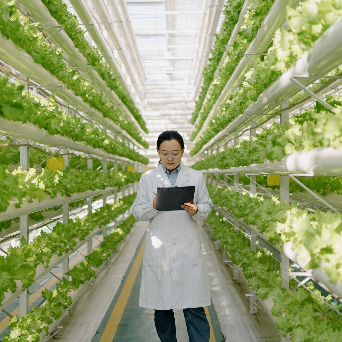 Prioritizing supplier excellence and compliance - female engineer in greenhouse