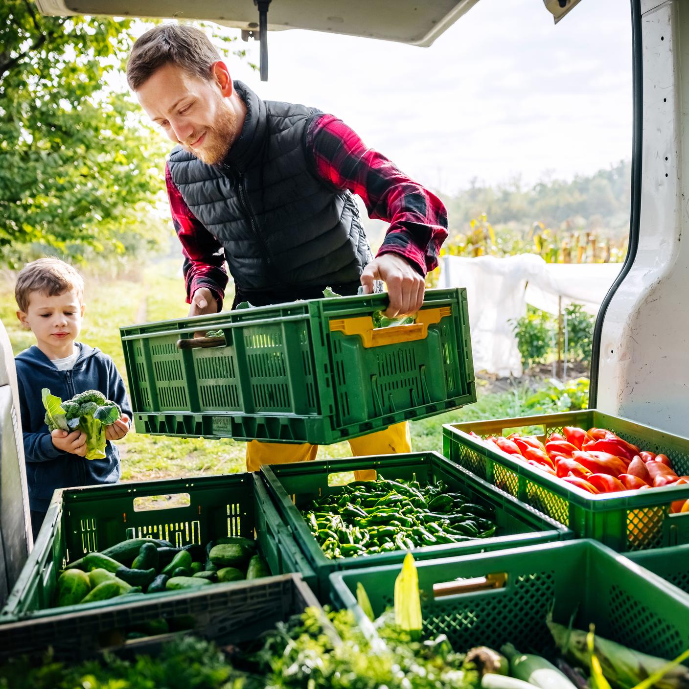 Supply chain in food and retail - A father and a young son working together loading a van