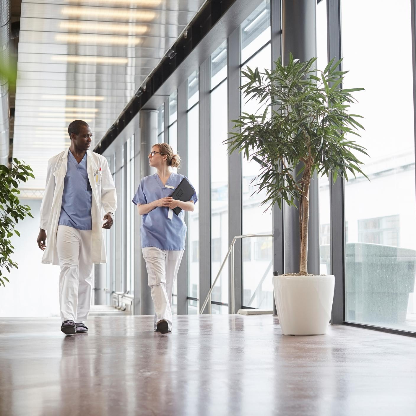 sustainability healthcare nurse discussing with doctor