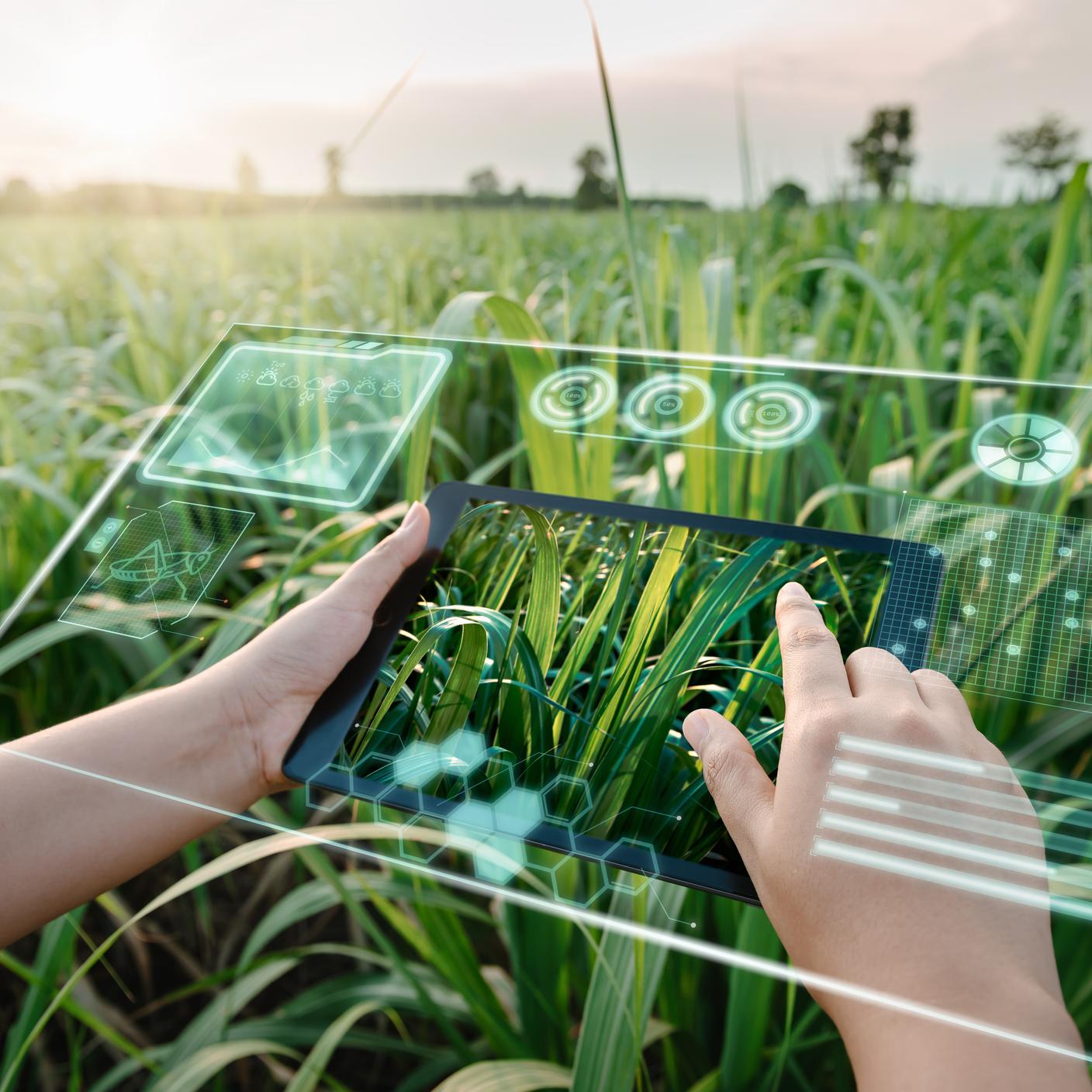 emale Farm Worker Using Digital Tablet With Virtual Reality Artificial Intelligence