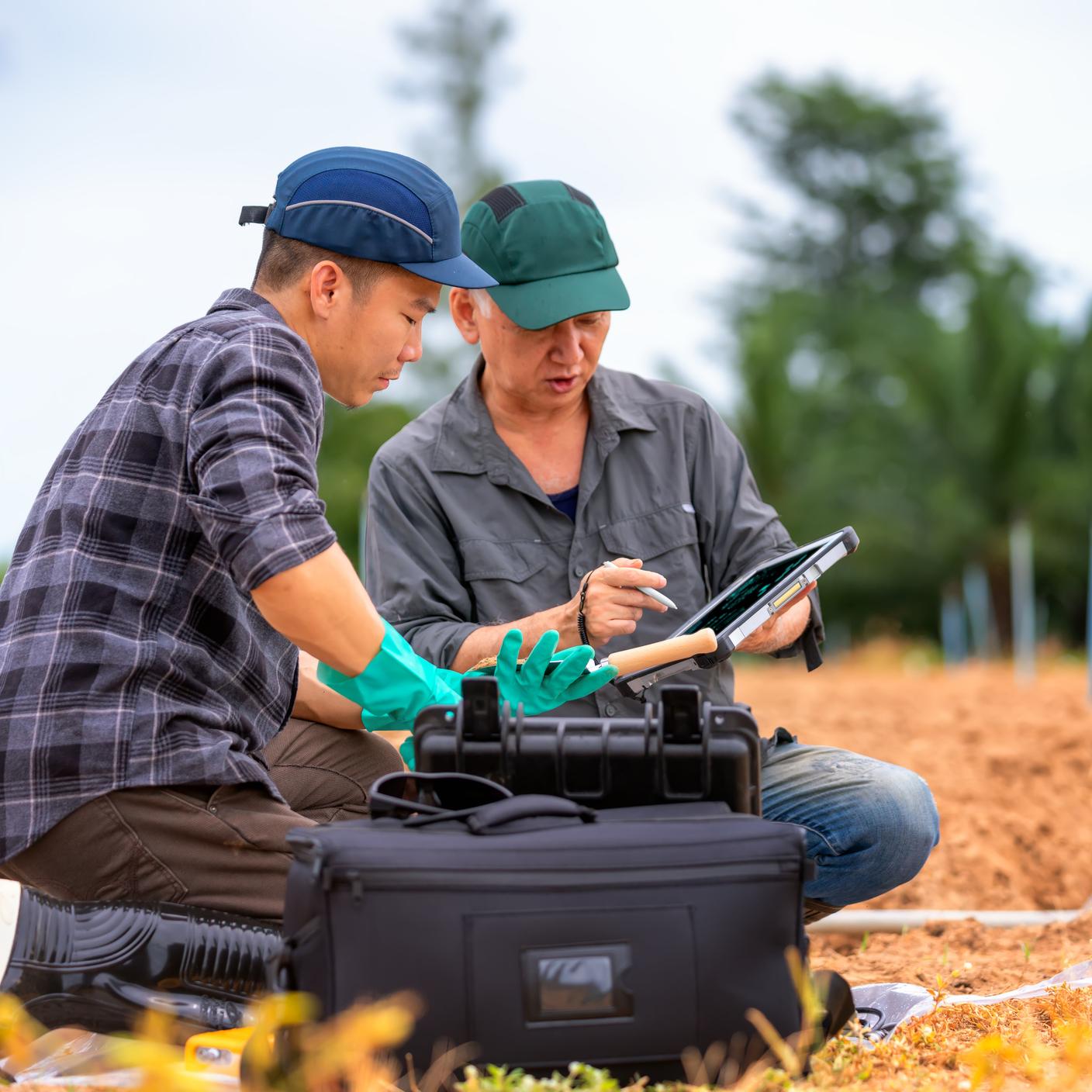 Researchers sample soil to check the humidity of soil