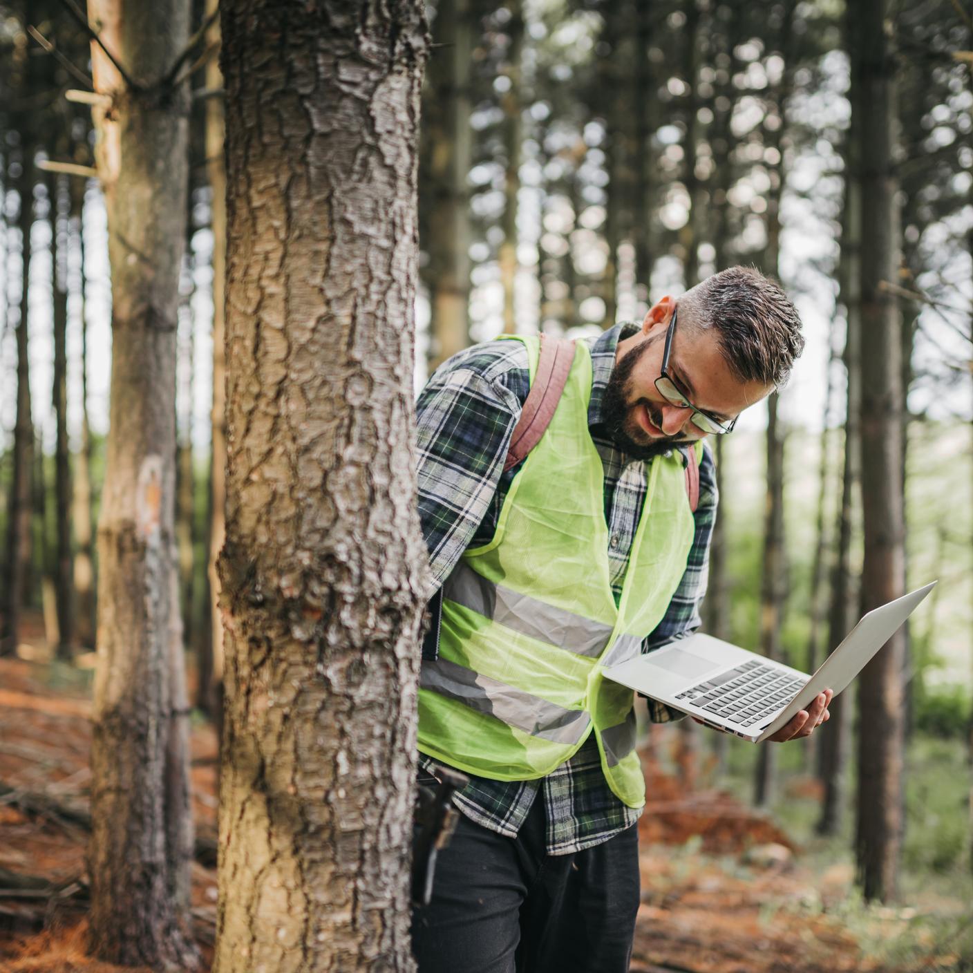 members of a trade association - ranger monitoring the woodland ecosystem