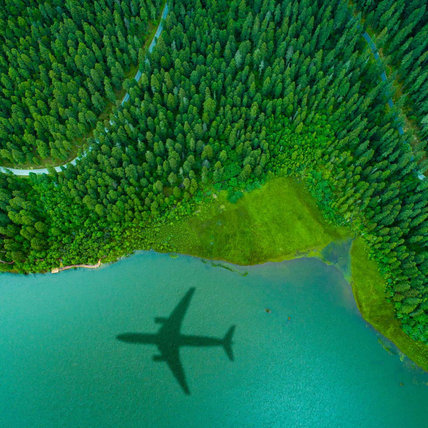Airplane shadow over the island forest, green concept