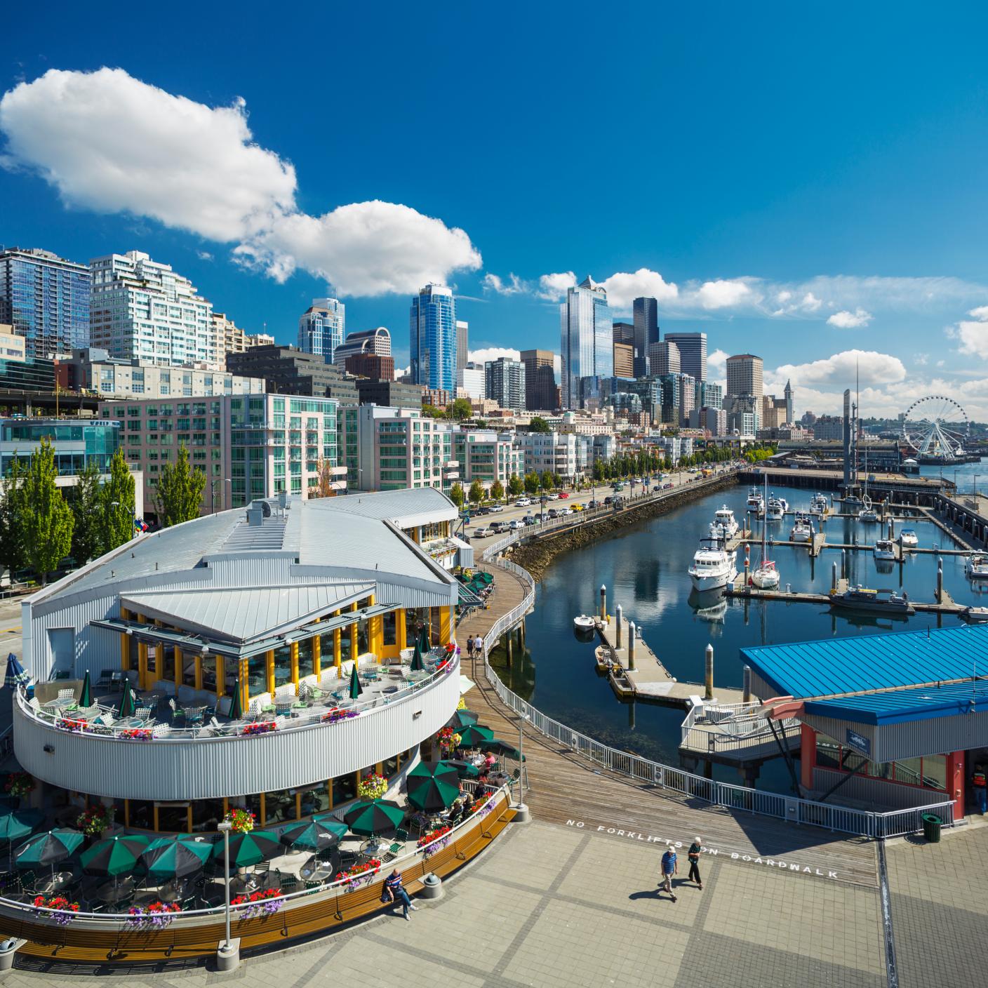 Seattle Waterfont Park with the skyscrapers of Downtown in the background.