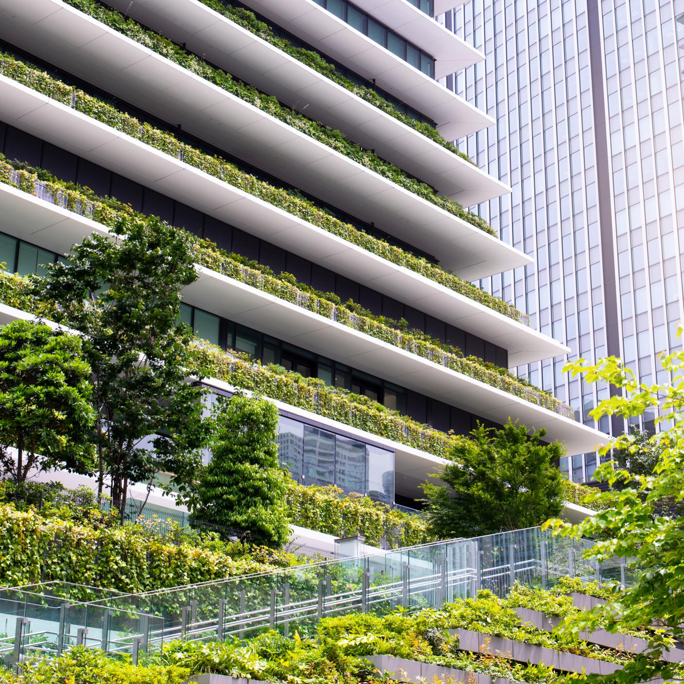 Wall of a building covered with plants
