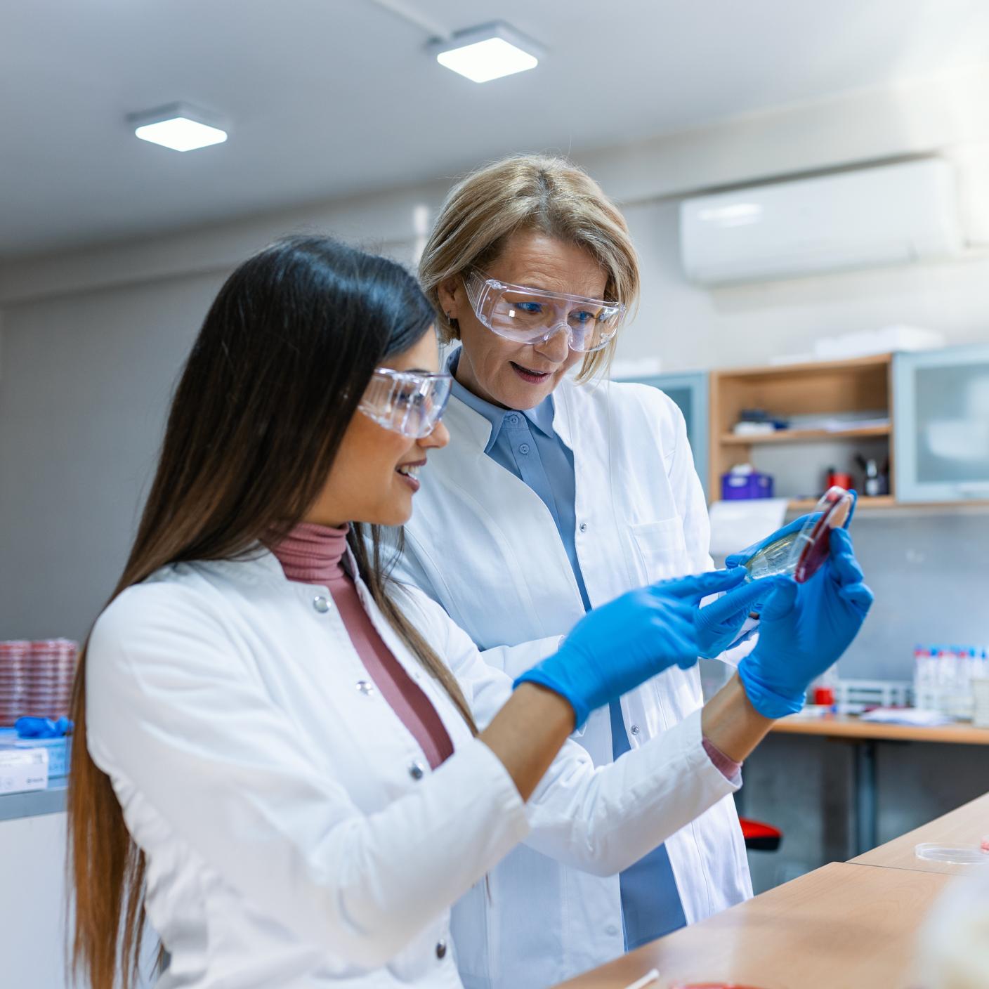 Scientist Works with Petri Dishes with Various Bacteria, Tissue and Blood Samples. Concept of Pharmaceutical Research for Antibiotics, Curing Disease with DNA Enhancing Drugs.