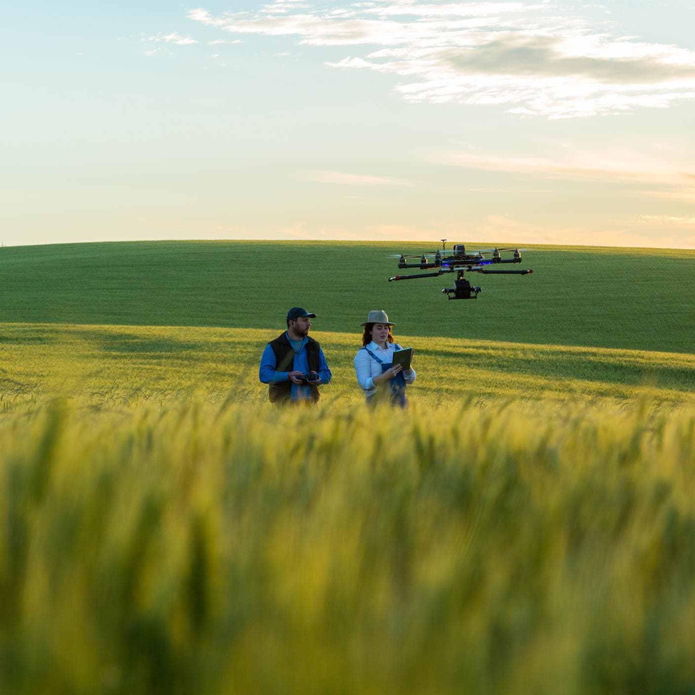 Supply Chain - This drone flying over wheat field