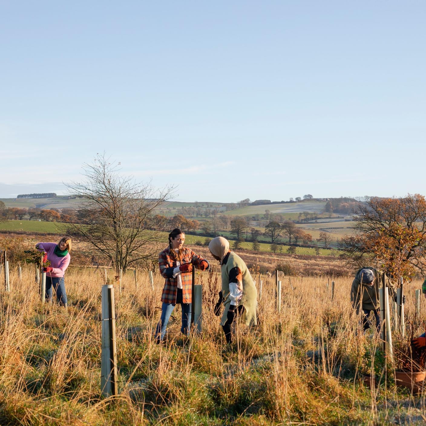 community farm, planting trees and performing other sustainable and environmentally friendly tasks.