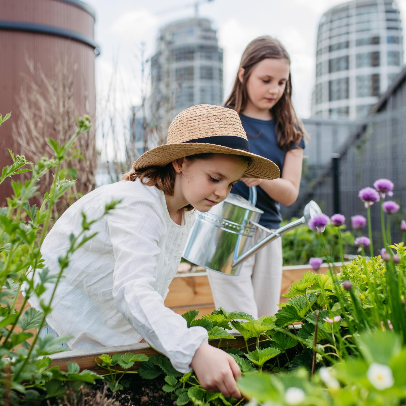 Little girls taking care of plants in a community garden in a city.