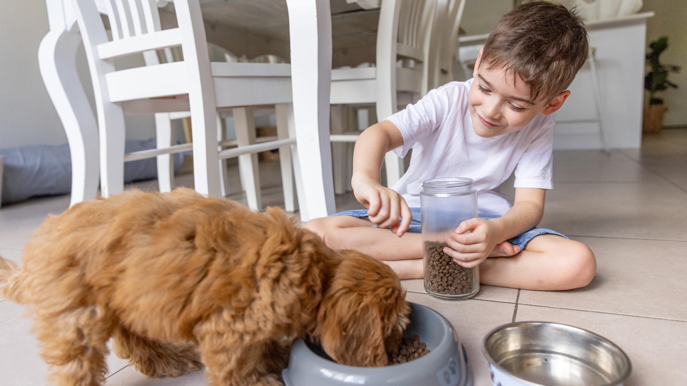 Boy feeds pet dog and give water.