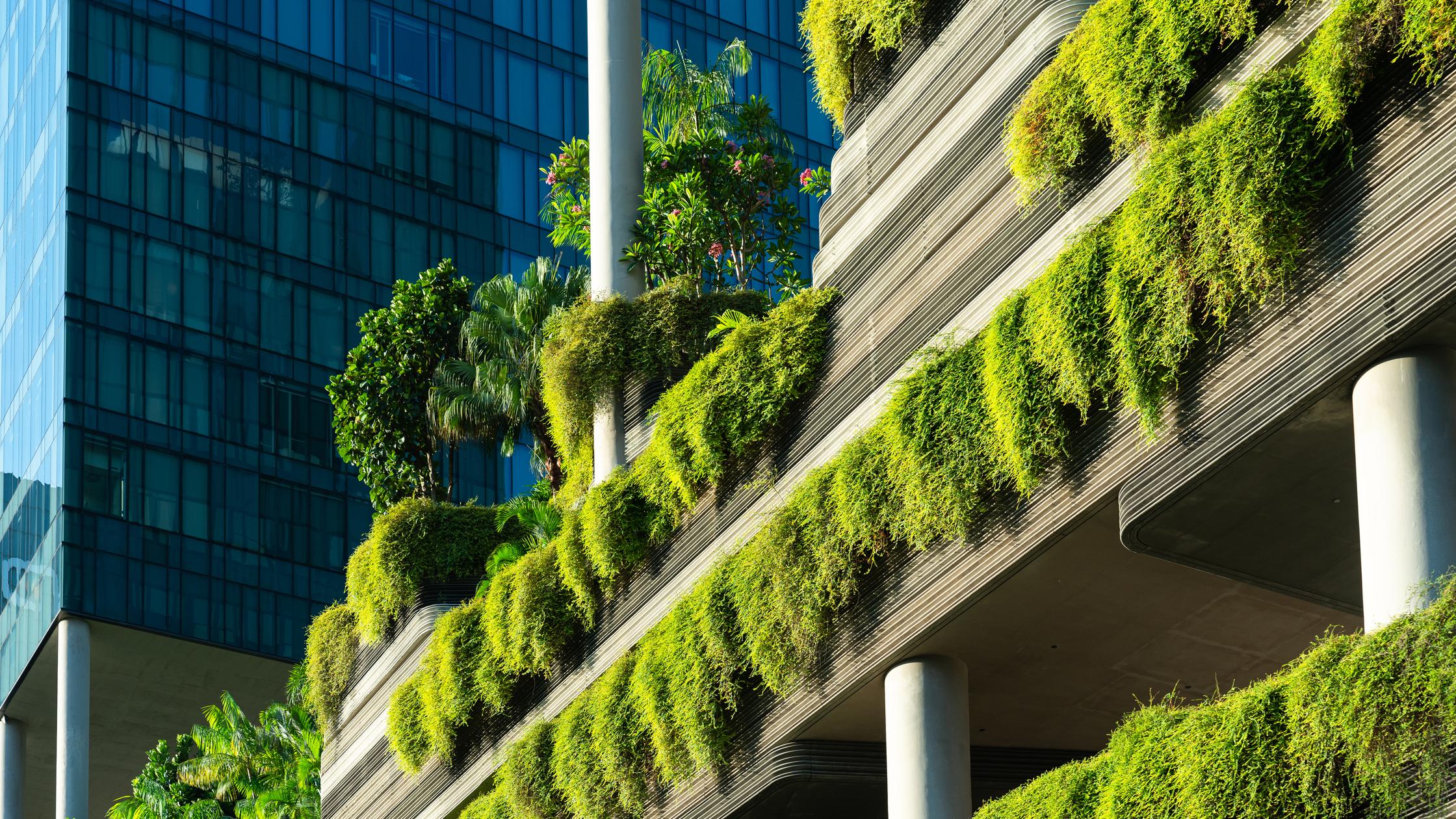 Sustainability : green building with garden