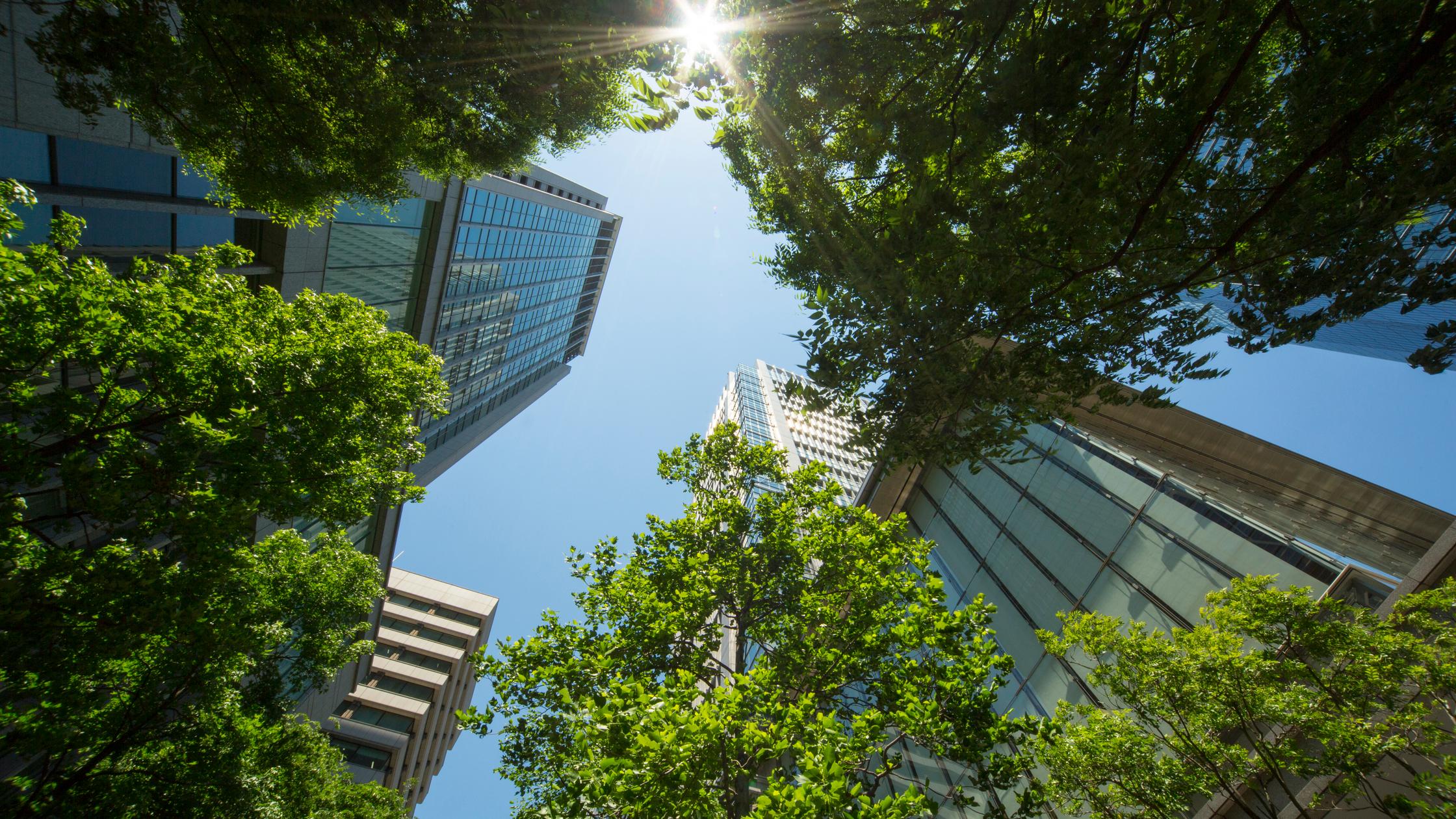 Looking upwards to the blue sky through skyscrapers and trees