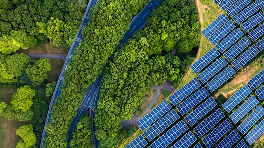 A sky view of trees and solar panels