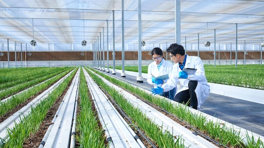 workers at the greenery