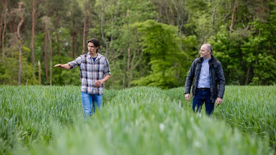 Zwei Männer in einem Biogarten
