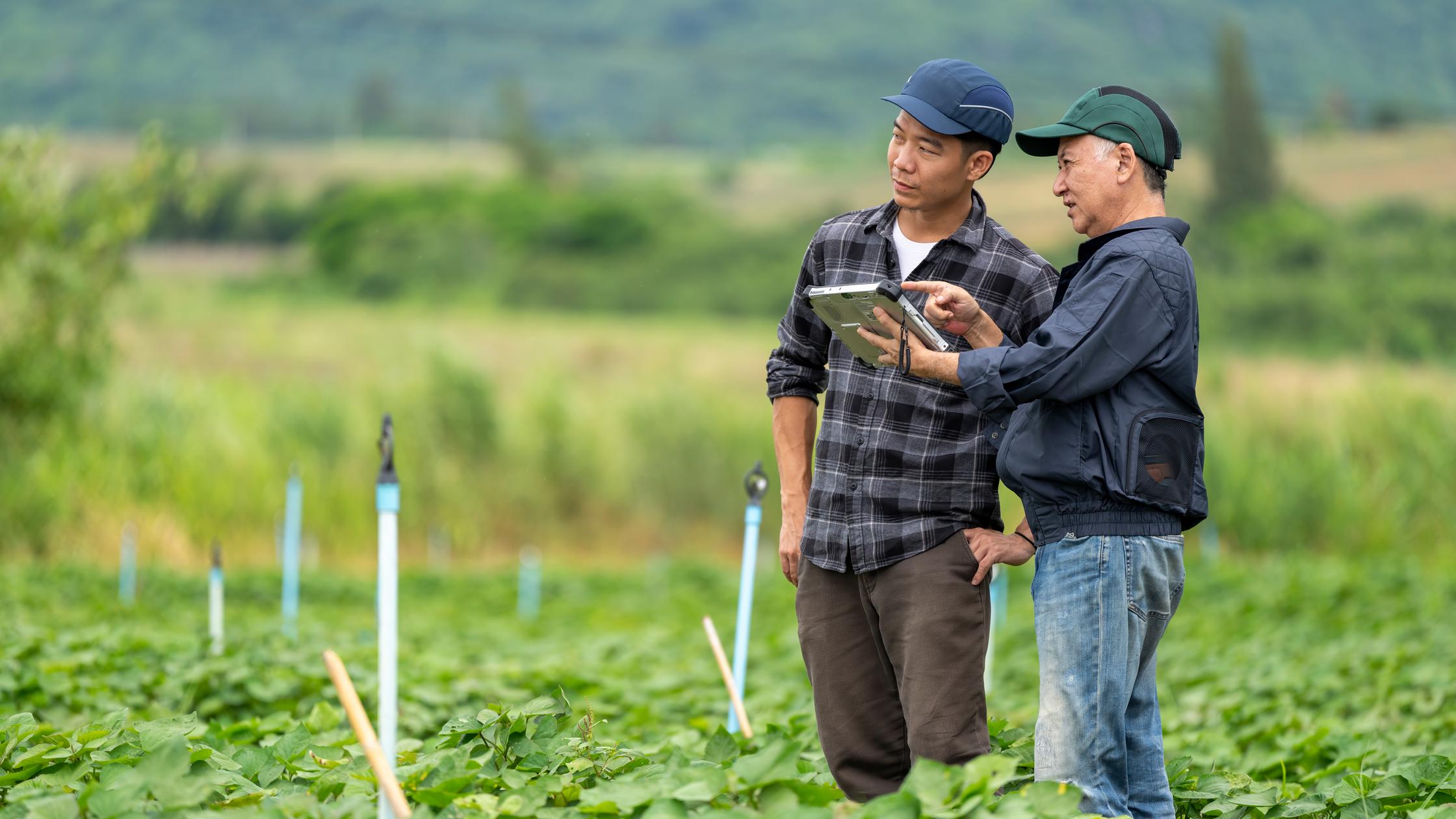 Innovation Father and Son discussing work using tablet computer