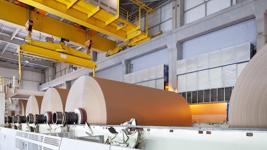 members of a trade association - the machinery in a paper mill plant