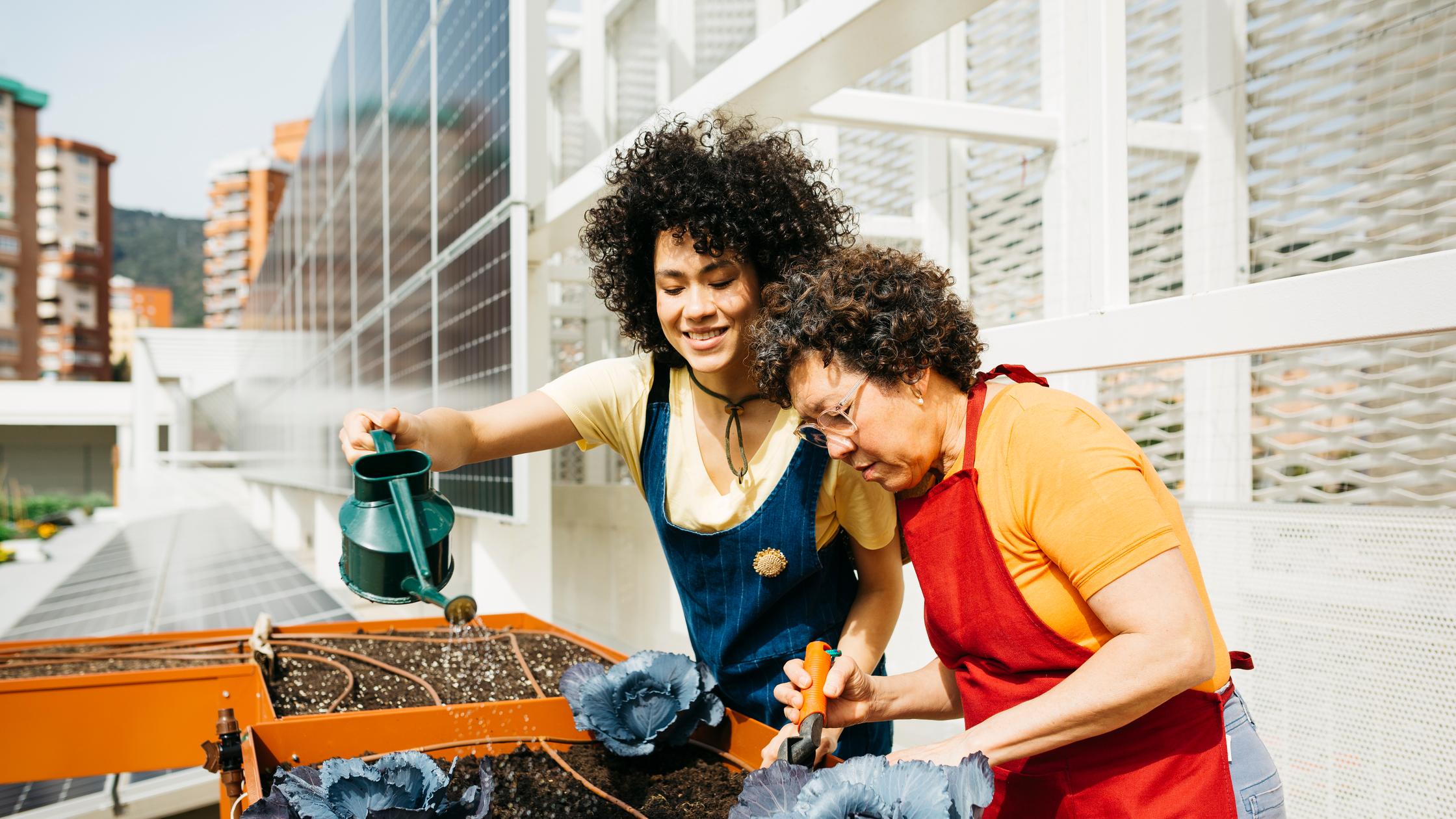 two women watering a rooftop garden with solar panels