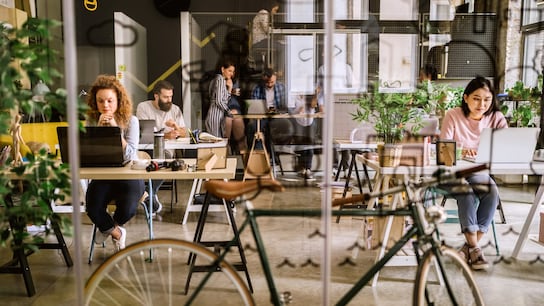 Bicycle in co-working space.
