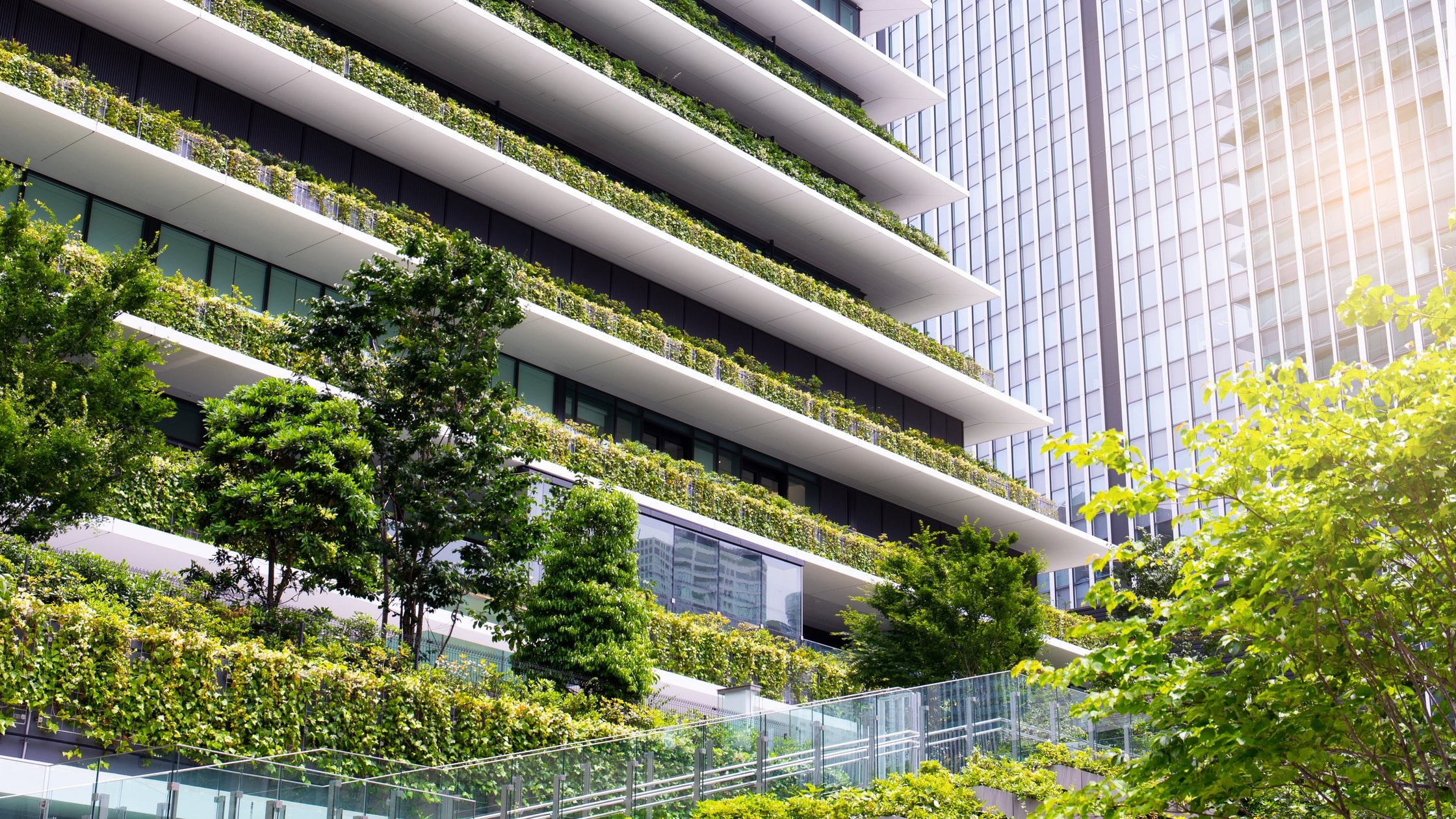 building with greenery