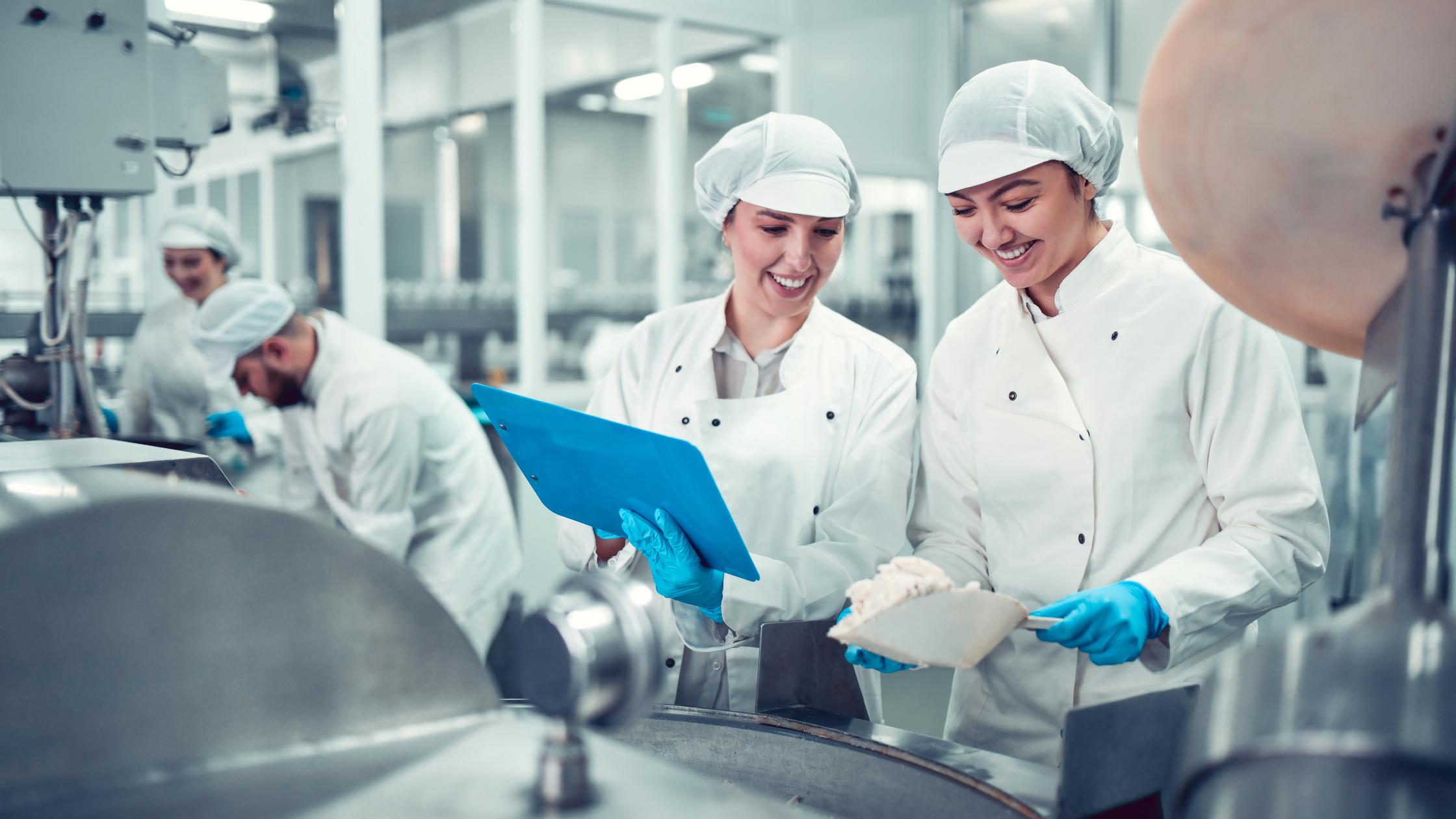 Fabrikarbeiter befüllen eine Maschine mit Hüttenkäse für gefüllte Paprika in Gläsern.